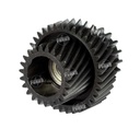 Gear Revelado 23/36T [Dki]