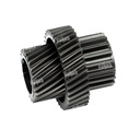 Gear Revelado 23/36T [Dki]