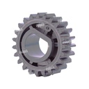 Gear [Ricoh - Original] 23T (Brush Cilindro) 