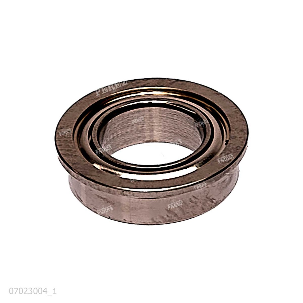 Rodaje [Konica Minolta - Original] Plata (Bloque Piñones Revelado) 