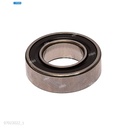 Rodaje [Ricoh - Original] Plata (Rodillo Magnetico) 