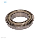 Rodaje [Ricoh - Original] Plata (Fusor) 