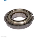 Rodaje [Ricoh - Original] Plata (Fusor) 