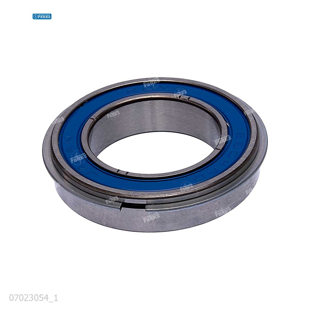 Rodaje [Ricoh - Original] Plata (Rodillo Presion) 