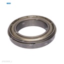 Rodaje [Ricoh - Original] Plata (Rodillo Presión) 