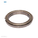 Rodaje [Ricoh - Original] Plata (Rodillo Calor ) 