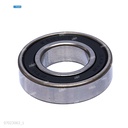 Rodaje [Ricoh - Original] Plata (Revelado) 