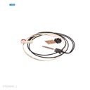 Thermistor Doble 220v Rodillo Presión [Original - Ricoh]