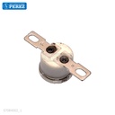 Thermostato [Ricoh - Original] 192° Blanco (Fusor) 