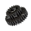 Gear 29/19T [DKi] Agitador Paleta (Cilindro)