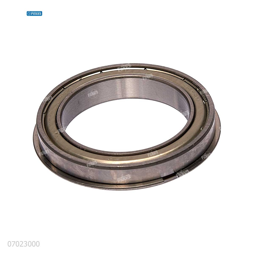 Rodaje [Ricoh - Original] Plata (Rodillo Calor) 