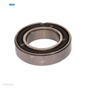 Rodaje [Katun Perfomance] Plata (Rodillo Revelado) 