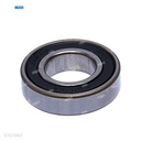 Rodaje [Ricoh - Original] Plata (Revelado) 