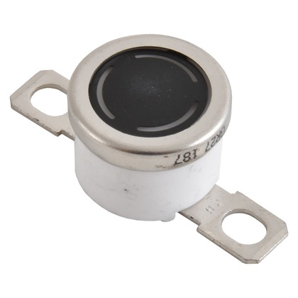 Thermostato [Ricoh - Original] Medio Plata (Fusor) 