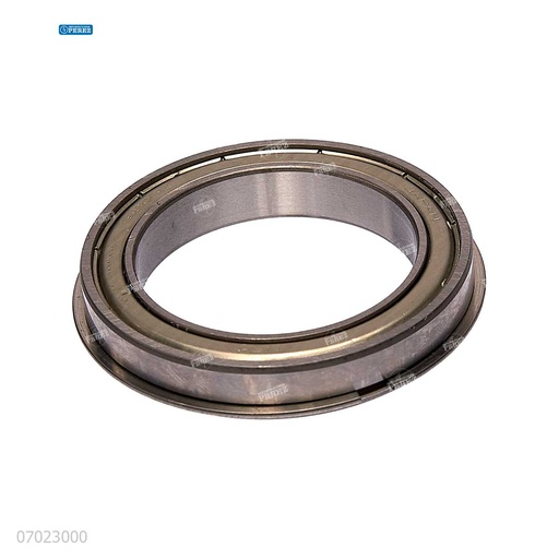 [07023000] Rodaje [Ricoh - Original] Plata (Rodillo Calor) 