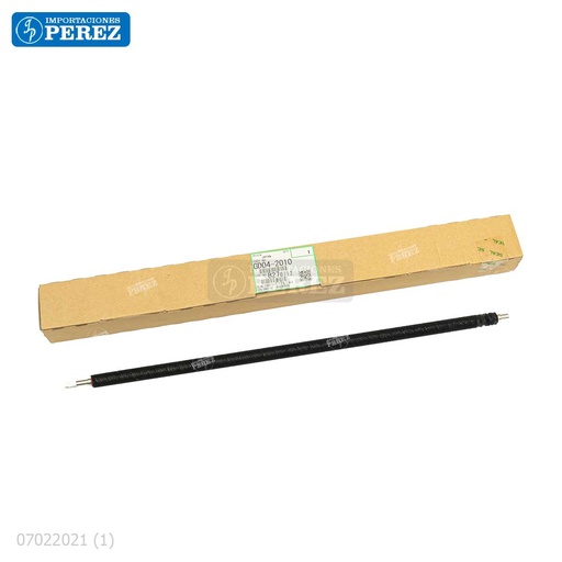 [07022021] Brush del Cilindro [Original - Ricoh]